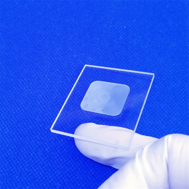 Quartz Glass Plate for Biological Research Institute.jpg